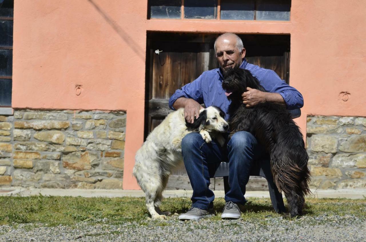 Case Franzero Ξενοδοχείο Levice Εξωτερικό φωτογραφία